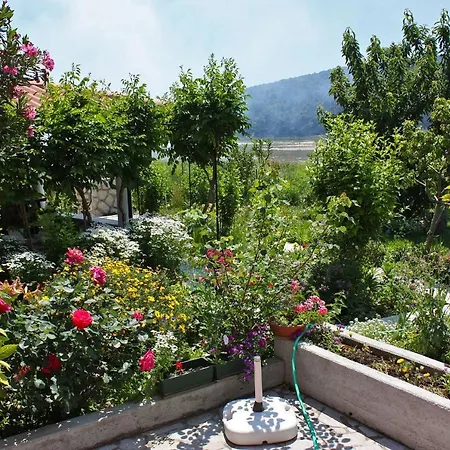 With Parking Space Kampor, Rab - 4972 Kampor