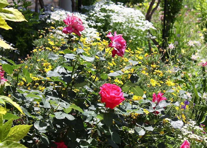 With Parking Space Kampor, Rab - 4972 *