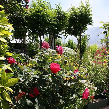 With Parking Space Kampor, Rab - 4972 * Kampor