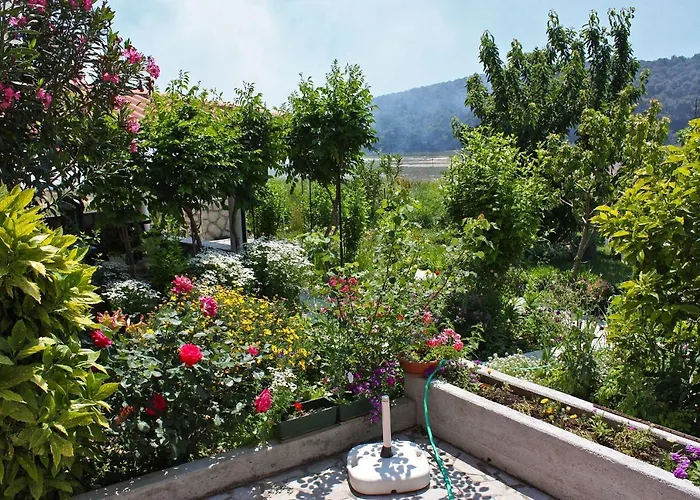 With Parking Space Kampor, Rab - 4972 Kampor