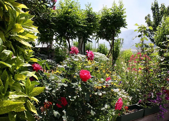 With Parking Space Kampor, Rab - 4972 * Kampor